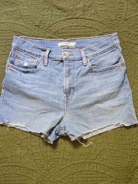 Levis Light Blue Denim Women’s Cutoff Shorts